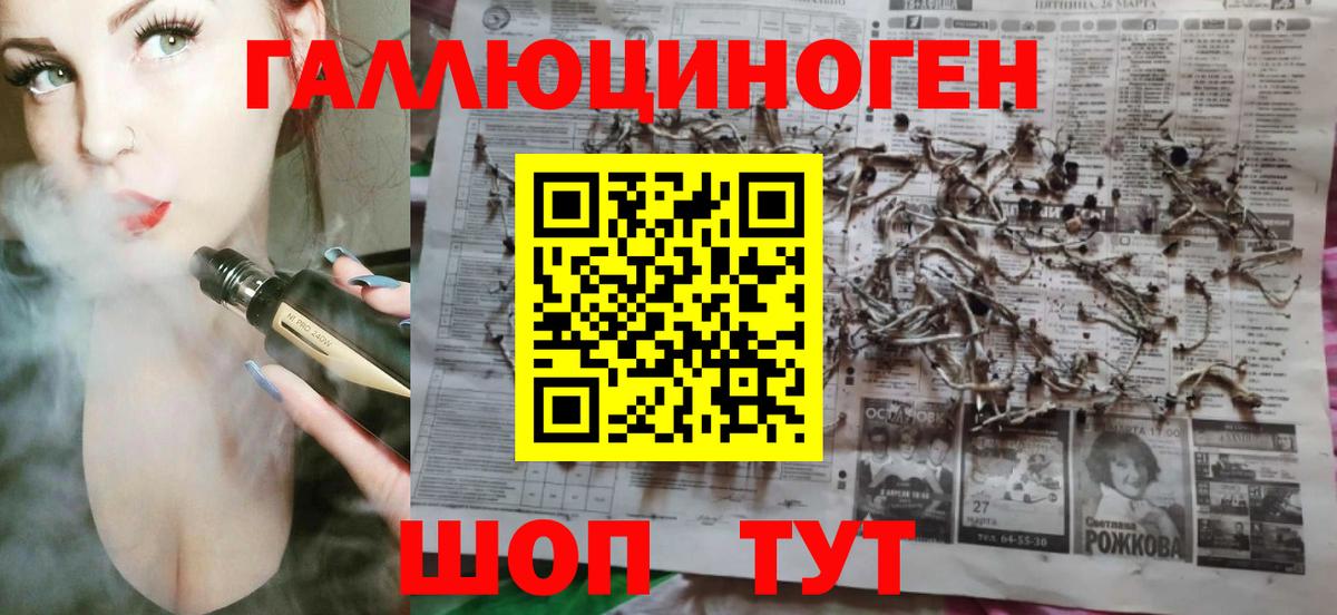 Ростов Великий  Галлюциногенные грибы прущие грибы  Вход с VPN 