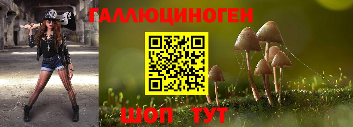 Псилоцибиновые грибы Cubensis Ростов Великий